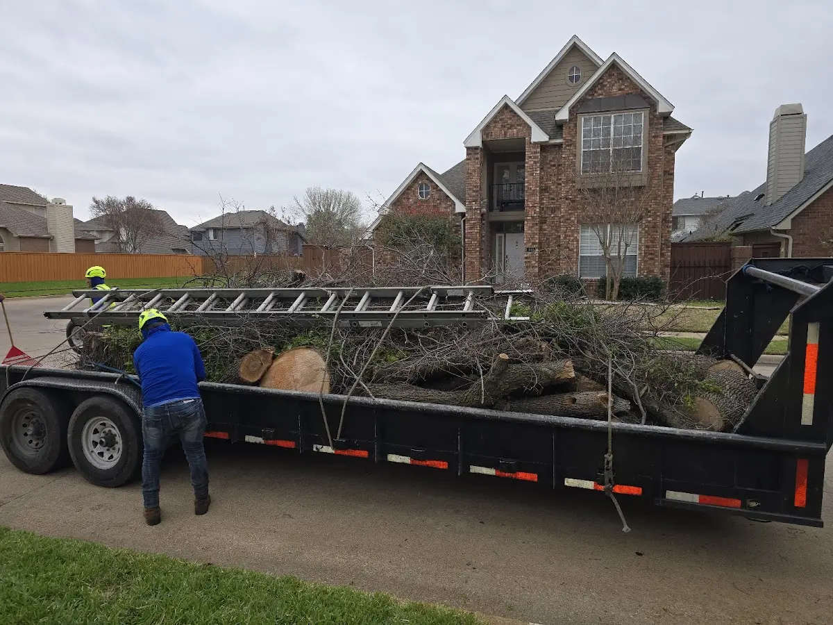 Expert Tree Removal with proper safety equipment in New Holstein